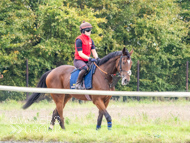 AK021025-40 - Believitanducan